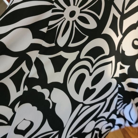 Black and White Enfocus Dress - Picture 4 of 4